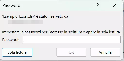 Avviso di sola lettura di un file Excel