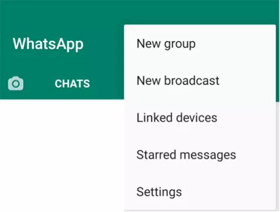 Screenshot del menu di avvio di WhatsApp