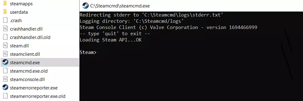 SteamCMD: directory dopo l’installazione