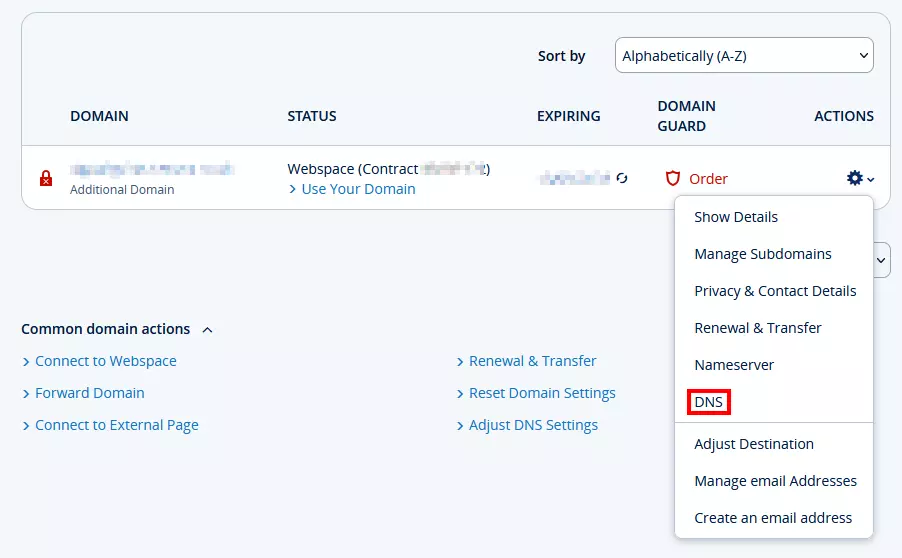 Visualizzazione dei domini e delle impostazioni DNS