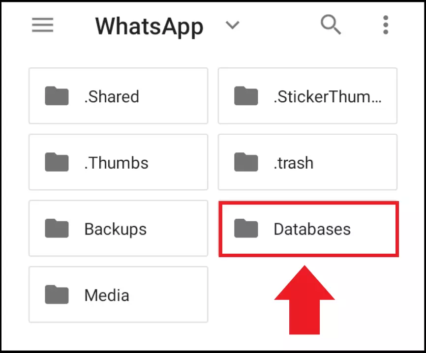 File di backup locali su WhatsApp\Databases