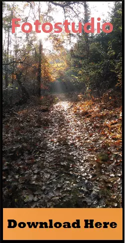 Banner pubblicitario con una foresta autunnale come sfondo