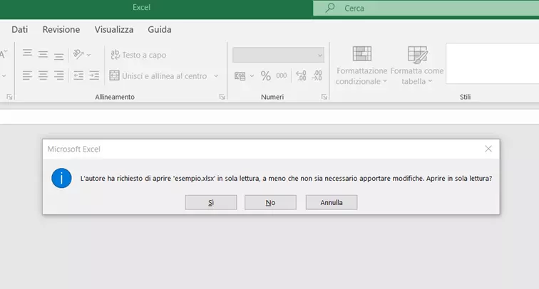 Avviso che compare all’apertura di un file in sola lettura