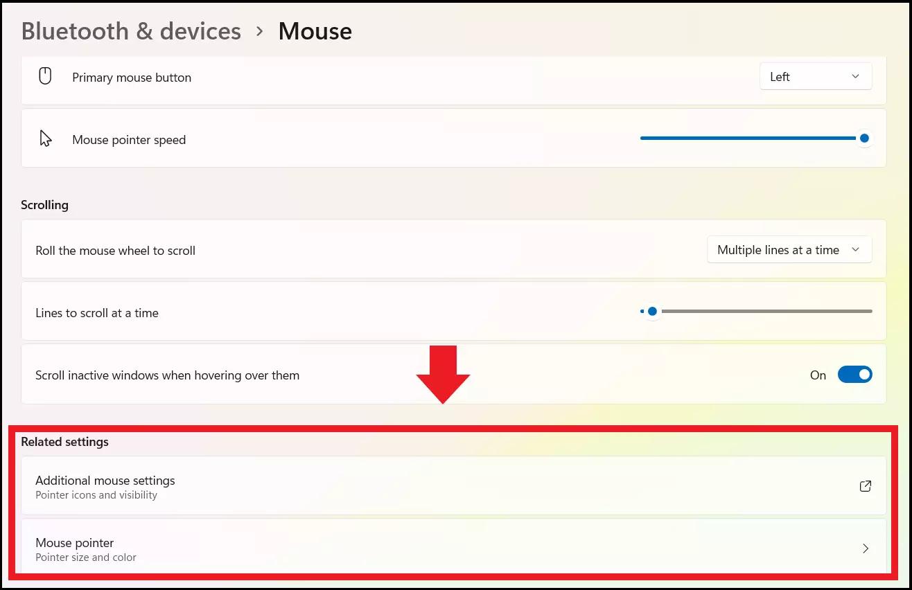 “Impostazioni aggiuntive per il mouse” e “Puntatore del mouse” nella sezione “Impostazioni correlate” sotto “Mouse”